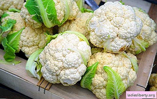 Planting cauliflower: choosing the best varieties for open ground and greenhouses. Description and characteristics of varieties of cauliflower with an unusual color of heads: the best varieties with photos