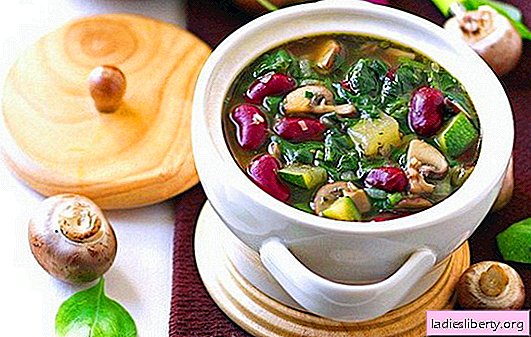 Lenten sup - resipi untuk setiap hari. Bagaimana dengan betul dan lazat menyiapkan sup tanpa lemak - resipi untuk setiap hari dan percutian