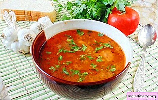 Kharcho sopa magra - delicioso e livre de carne! Receitas de sopa de kharcho magra aromática com arroz, tomates, adjika, manjericão, nozes