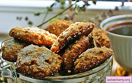Štíhlé sušenky: jednoduché pečení. Recepty libové sušenky: ovesné vločky, citron, mrkev, zázvor, káva, med, s mákem