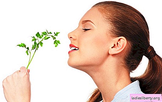 Lady of freshness - parsley untuk wajah. Dengan topeng parsley untuk wajah, sup peterseli untuk wajah kita mencipta kulit wangi