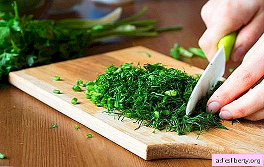 Rules for using greens in cooking: fresh, dried and frozen