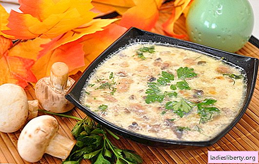 Extremely simple and uniquely delicious - champignon soups with potatoes. A selection of champignon and potato soups