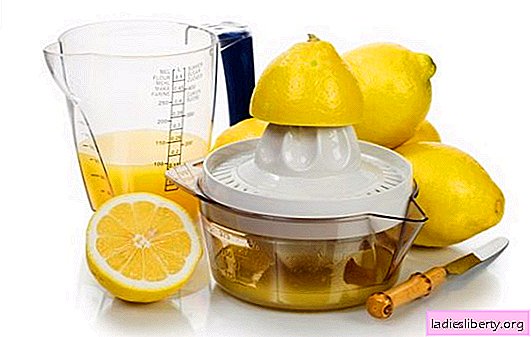 Cocinar jugo de limón: ¡recetas con un aroma divino! Jugo de limón: recetas para bebidas alcohólicas y no alcohólicas.