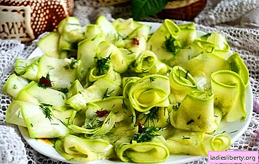 Simple appetizers from zucchini - you will lick your fingers. Recipes of zucchini snacks with any products to any table