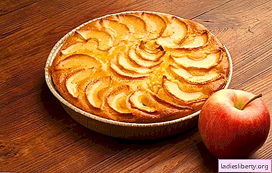 Torta simples e rápida com maçãs, laranjas, queijo cottage. As melhores receitas para uma tarte de maçã simples para uma mão rápida