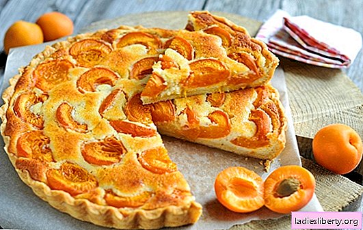 A simple apricot pie - anyone can handle it! Cooking summer apricot pies: simple recipes for everyone