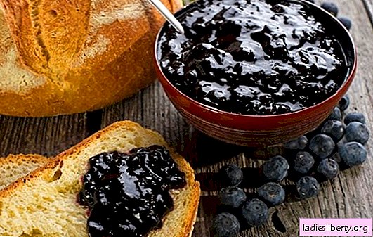 Rubbed blueberries with sugar without cooking for the winter are healthy and incredibly tasty. The best recipes for pureed blueberries with sugar without cooking