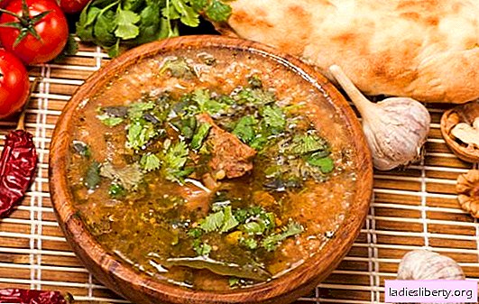 Spicy lamb kharcho - a classic Caucasian recipe. How to cook a classic lamb kharcho, what is added to it