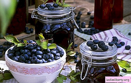 Five-minute blueberries - a simple preparation for the winter. Various options for making five-minute jam from blueberries