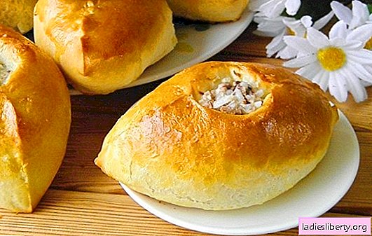 Pies with rice - delicious pastries of Russian cuisine. Pie recipes with rice, green onions, fish, minced meat and mushrooms