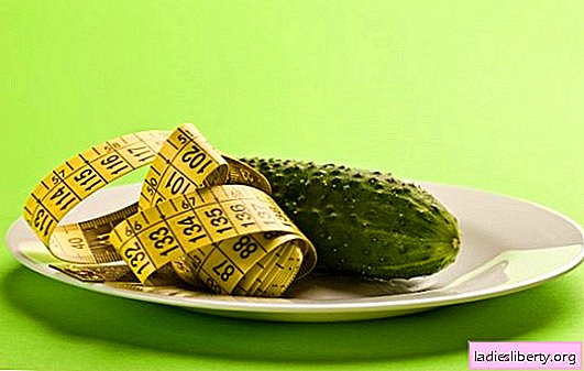 Fasting day on cucumbers: effective! The rules of the daily diet, options for a fasting day on cucumbers