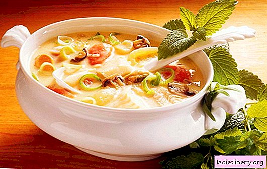 Uma receita para uma deliciosa sopa de legumes é a base da boa nutrição. Uma seleção das melhores receitas para uma deliciosa sopa de legumes de vegetais diferentes