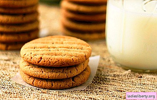 Recetas de galletas en la leche para beber té en casa. Miel, chocolate, nueces y muchas otras recetas de galletas de leche.