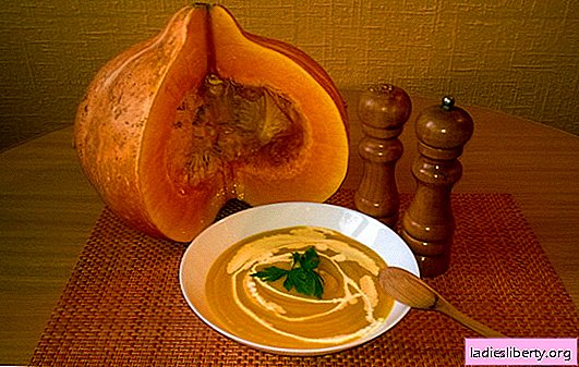Rezepte für die Herstellung von Kürbissuppe mit Sahne. Wählen Sie Ihre Lieblings-Kürbiscremesuppe mit Sahne: Huhn, scharf, Diät