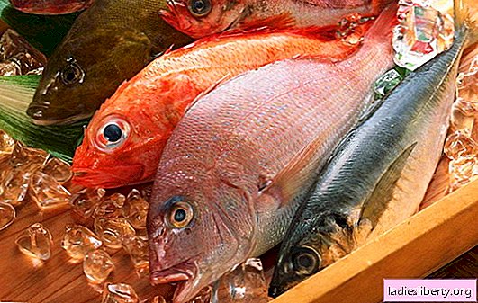 Риба: калоријске користи и штете. Сазнајте предности и састав црвене и речне рибе различитих врста. Могућа штета речној риби