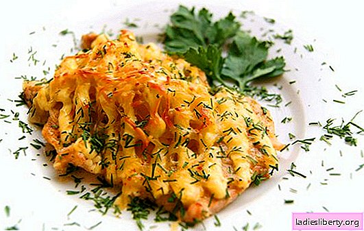 Ribe pod majonezo v pečici so nezahtevna jed! Recepti pečene ribe pod majonezo v pečici s krompirjem, sirom, različno zelenjavo