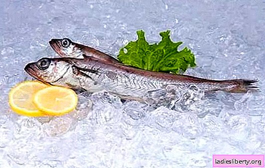 Blue whiting fish: the benefits and harms of ocean fish. What are the beneficial properties and whether there may be harm from blue whiting