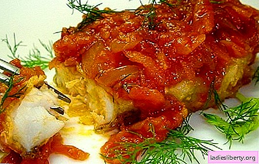 Poisson aux tomates: sous le légume "manteau de fourrure", crème sure, fromage. Recettes savoureuses et simples de poisson blanc et rouge aux tomates