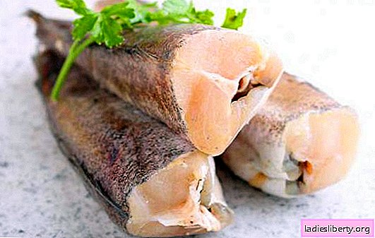 メルルーサ魚-この魚介類の組成の利点と特徴。メルルーサの害、健康な魚の選び方と調理方法