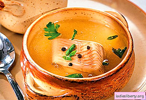 Bouillon de poisson - les meilleures recettes. Comment cuire correctement et savoureux bouillon de poisson.