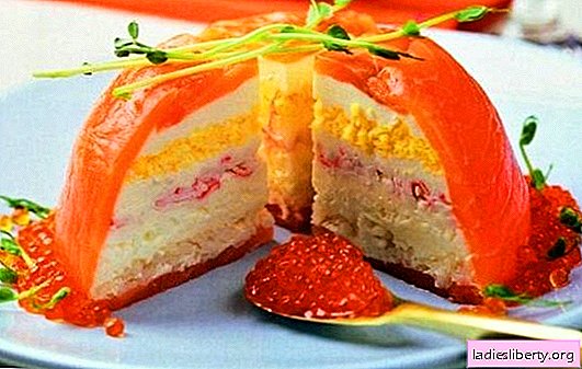 मछली केक एक महान स्नैक है: कभी भी क्या होता है! डिब्बाबंद मछली और ताजा मछली केक के लिए स्वादिष्ट और सरल व्यंजनों
