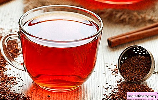 Rooibos: ¿un regalo de dioses africanos u otra corriente principal? Los beneficios del té rojo - rooibos, efectos nocivos y contraindicaciones