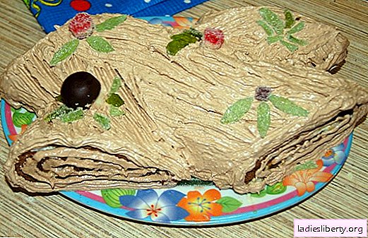 Christmas log: step-by-step photo recipe for a French dessert. Tasty cottage cheese and orange "log" is prepared by children!