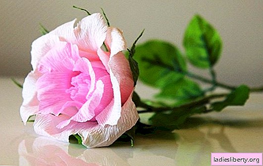 Milagro hecho por el hombre: cómo hacer una rosa con papel corrugado. Tres variantes de rosas de papel corrugado: una clase magistral con una foto