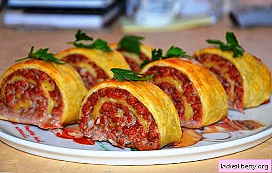 Dough rolls with minced meat - original and satisfying! We prepare juicy and tasty dough rolls with minced meat on the stove and in the oven