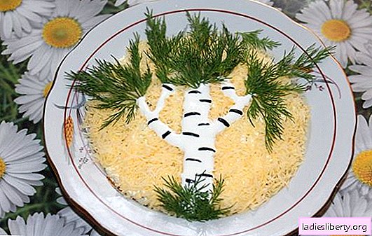 Salade "Bouleau" aux pruneaux - très belle! Recettes de salade "Bouleau" avec pruneaux et poulet, champignons, foie, chou