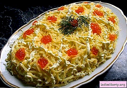 Salad "Tsarsky" - the best recipes. How to properly and tasty cook salad "Tsar".
