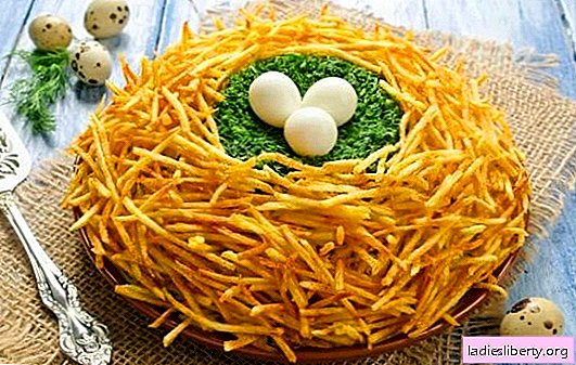 Salade "Capercaillie Nest" (recette étape par étape) - la beauté du service et l'harmonie des goûts. "Nid de grand tétras" avec champignons et chou frais - étape par étape