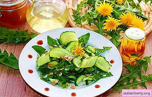 La salade de pissenlit est presque un remède! Options pour les salades de feuilles de pissenlit avec du fromage, des légumes, des œufs, des fruits, des noix