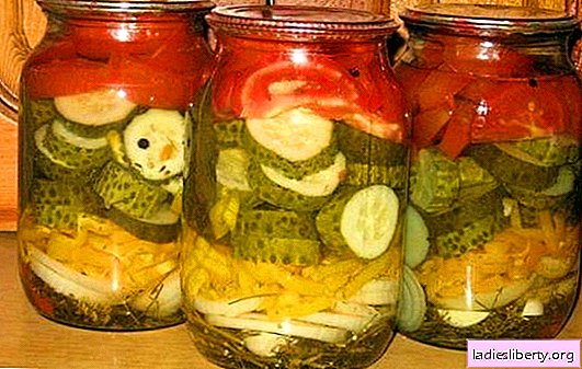 Salada dos pepinos e dos tomates para o inverno - um complexo saudável da vitamina. Receitas clássicas e originais de salada de pepino e tomate para o inverno