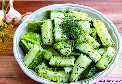 Salade de concombre - Les meilleures recettes. Comment faire cuire les salades de concombre correctement et savoureux.