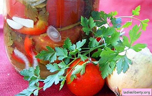 סלט עגבניות עם בצל לחורף: קומפוזיציה מתוקה וחריפה ויפה. אוסף מיטב מתכוני הסלט לחורף עם עגבניות ובצל
