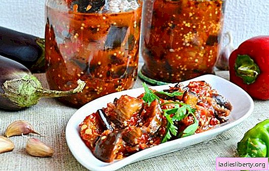 Eggplant Cobra Salad - a chic appetizer with an insidious name! Best eggplant cobra salad recipes for winter