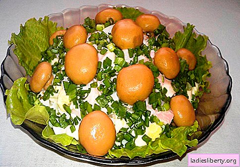 Salad "Forest Glade" - proven recipes. How to cook salad "Forest Glade".