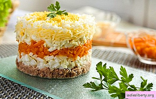 Mimosa salad classic (step by step recipe) - an affordable fish snack. Step-by-step recipes for Mimosa classic salad with vegetables and rice