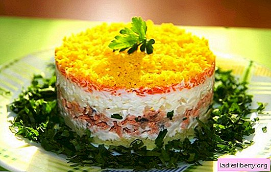 Mimosa salad with cheese: proven and original recipes. Mimosa salads with cheese, rice, potatoes, cod liver
