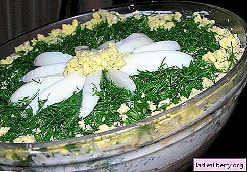 Ensalada "Daisy" - una selección de las mejores recetas. Cómo preparar adecuadamente y sabroso para preparar ensalada de "manzanilla".