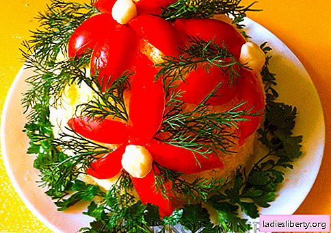 Salada com feijão "Flor glade" - uma receita com fotos e descrição passo a passo