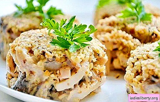 Ensalada de calamares: una receta paso a paso para una merienda festiva o sencilla. Recetas paso a paso para ensaladas con calamares: cocinar, disfrutar