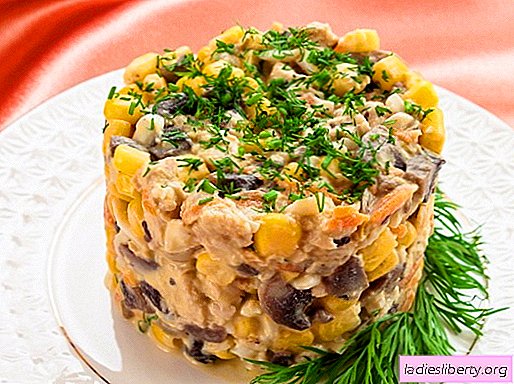 Salad with corn and chicken - the best recipes. How to properly and tasty to cook a salad with corn and chicken.