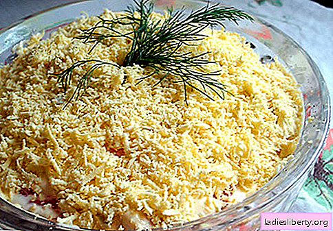 Ensalada con queso derretido: una selección de las mejores recetas. Cómo hacer bien y sabrosa ensalada cocida con queso derretido.
