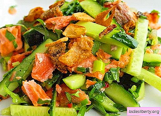 Salad with salmon and cucumber - the right recipes. Quickly and deliciously prepare a salad with salmon and cucumber.