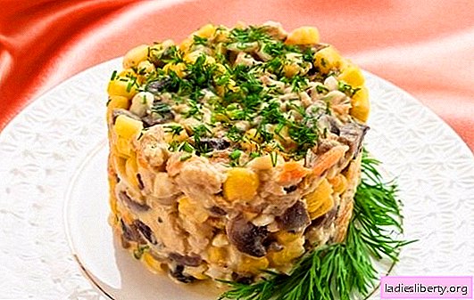 Salad with champignons and chicken breast: hit of the season! The best author's recipes and the original supply of salad with mushrooms and chicken breast