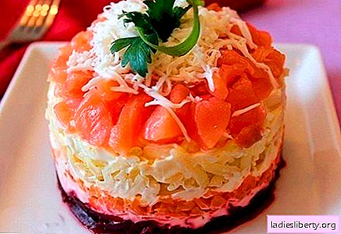 Salada em camadas com salmão - as receitas certas. Salada cozida rápida e saborosa com camadas de salmão.