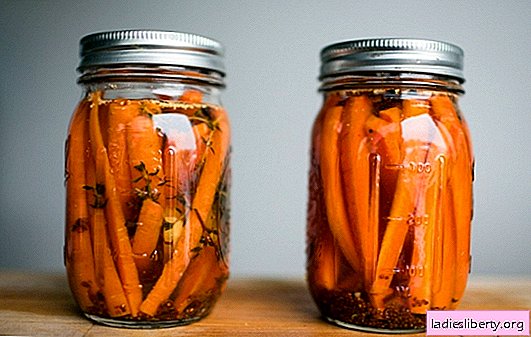 Salads and side dishes of pickled carrots with garlic. Snack, to the table and for the winter - pickled carrots with garlic